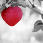 Good Night Text for Her (Quotes, Messages, SMS Images for Girlfriend) Good Night Text for her