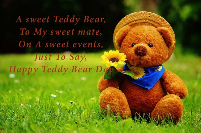 happy teddy day pic