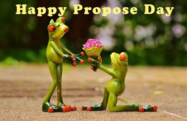 propose images