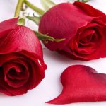 Happy Rose Day Images with Wishes Quotes Happy Rose Day Images