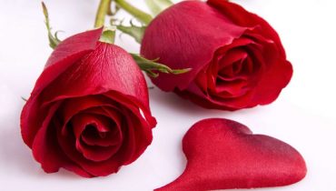 Happy Rose Day Images
