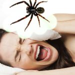 What Does It Mean When You Dream About Spiders? what does it mean when you dream about spiders.