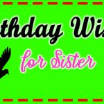 Happy Birthday Wishes For Sister: The Only Collection You Need
