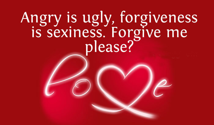 I M Sorry I Love You Quotes