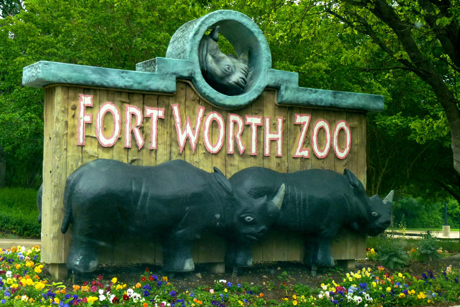 Top 10 Best Zoos in the US Might Surprise You!