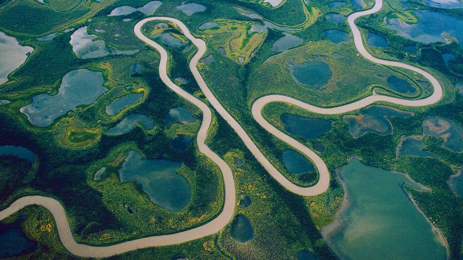Top 10 Longest Rivers In The World
