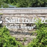 Top 10 Best Zoos in the US Best Zoos in the US