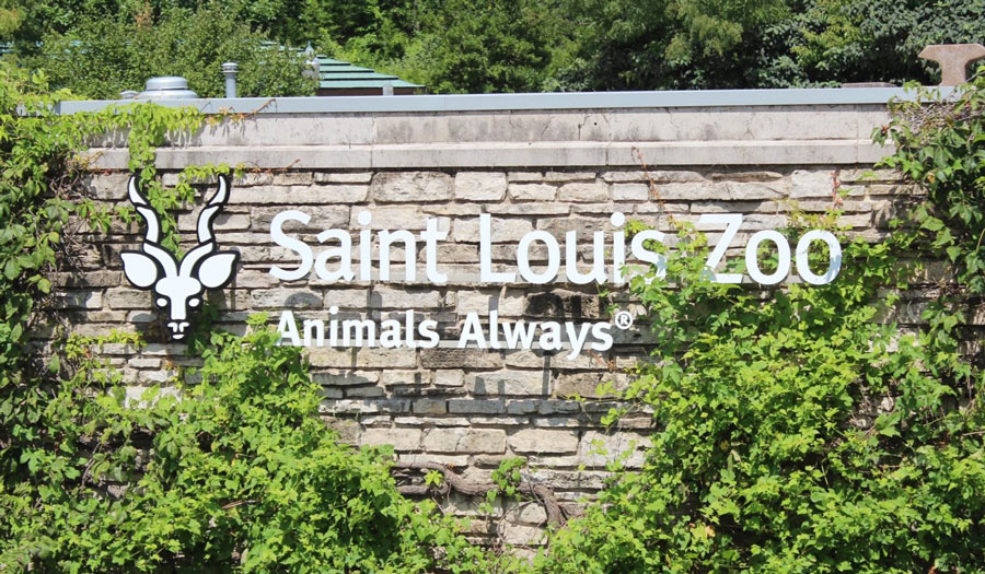 Top 10 Best Zoos in the US Might Surprise You!