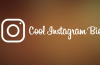 Cool Instagram Bios
