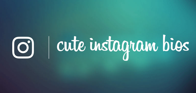 Cute Instagram Bios