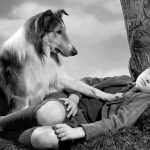 Top 10 Longest Running TV Shows Longest Running TV Shows