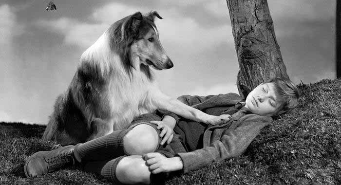 Top 10 Longest Running TV Shows Longest Running TV Shows