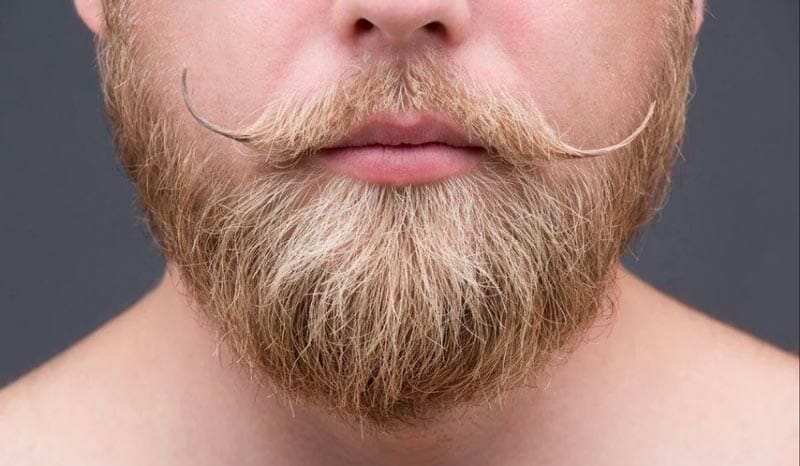 10 Best Beard Balm for Men Best Beard Balm