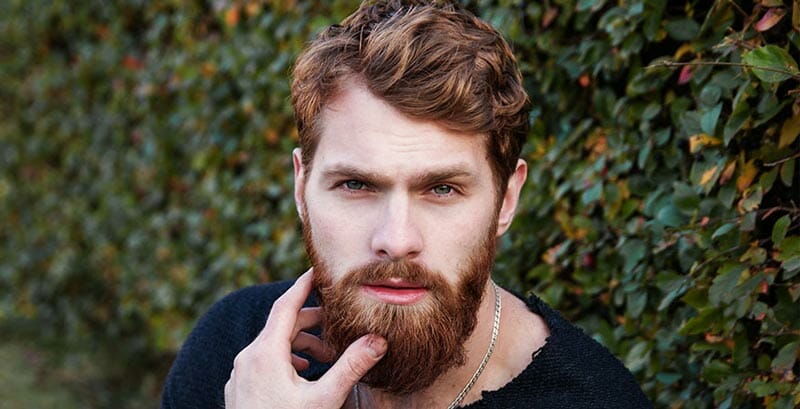 10 Best Beard Grooming Kit for Men Beard Grooming Kit